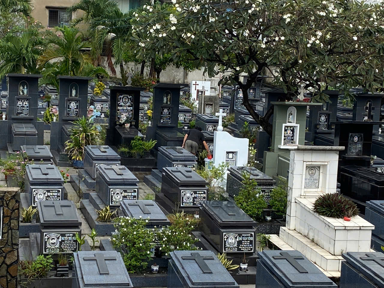 Nét đẹp bình dị trong tháng các đẳng